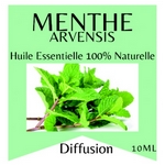 Huiles Essentielles Menthe Arvensis - 10 ml