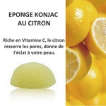 Eponge KONJAC<br />au Citron