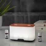 Diffuseur Ultrasonique Duo