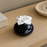Diffuseur par Capillarité<br/>Narcisse Noir - DCRN