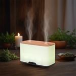 Diffuseur Ultrasonique Duo