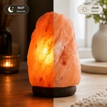 Lampe en Cristal de Sel d'Himalaya de 4 à 6 kg  