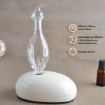 Diffuseur d'huiles essentielles DAN