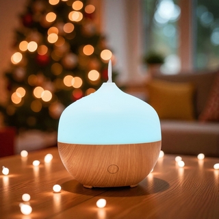 Diffuseur par Chaleur Douce<br />CALORYA N° 15