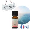Lot de 6 Synergies Revitalisante