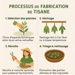 Tisane Bio JE SOUHAITE<br />Gamme Chakra
