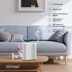 Diffuseur Pro Grande Surface<br />Marketing Olfactif DP300