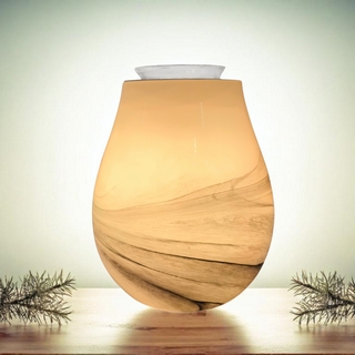 Diffuseur par Chaleur Douce<br />CALORYA N° 11