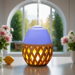 Diffuseur Ultrasonique Dolsia