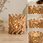 Diffuseur par Chaleur Douce<br />CALORYA N° 7