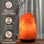 Lampe en Cristal de Sel d'Himalaya de 2 à 3 kg  