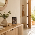 Diffuseur Ultrasonique avec Télécommande Sofia
