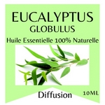 Huiles Essentielles Eucalyptus - 10 ml