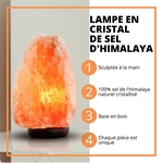 Lampe en Cristal de Sel d'Himalaya de 2 à 3 kg  