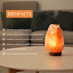 Lampe en Cristal de Sel d'Himalaya de 2 à 3 kg  