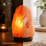 Lampe en Cristal de Sel d'Himalaya de 2 à 3 kg  