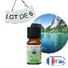 Lot de 6 Synergies Purifiante