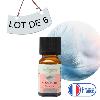 Lot de 6 Synergies Sensualité