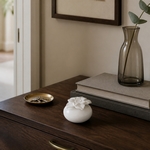 Diffuseur par Capillarité<br/>Narcisse Blanc - DCRW