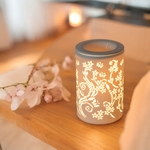 Diffuseur par Chaleur Douce<br />CALORYA N° 1