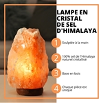 Lampe USB  en Cristal de Sel d'Himalaya Rock