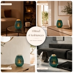 Diffuseur par Chaleur Douce<br />CALORYA N° 6