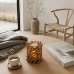 Diffuseur par Chaleur Douce<br />CALORYA N° 7