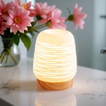 Diffuseur par Chaleur Douce<br />CALORYA N° 16