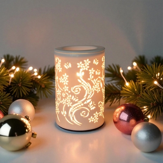 Diffuseur par Chaleur Douce<br />CALORYA N° 1