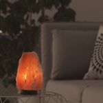 Lampe en Cristal de Sel d'Himalaya de 2 à 3 kg  