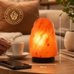 Lampe en Cristal de Sel d'Himalaya de 2 à 3 kg  