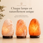 Lampe en Cristal de Sel d'Himalaya de 4 à 6 kg  