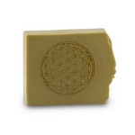 Shampoing Bio Fleur de Vie