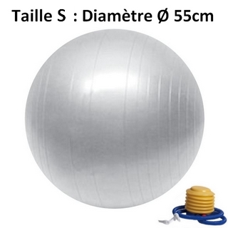 Ballon de Yoga / Fitness Taille S 55 cm Gris