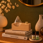 Diffuseur d'huiles essentielles Venturi - Zéphia
