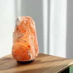 Lampe en Cristal de Sel d'Himalaya de 2 à 3 kg  