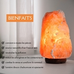Lampe en Cristal de Sel d'Himalaya de 4 à 6 kg  