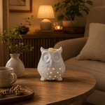 Brûle parfum HIBOU