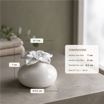 Diffuseur par Capillarité<br/>Narcisse Blanc - DCRW