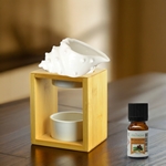 Brûle parfum Série Naturéa - Shell