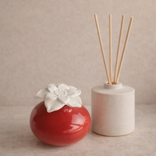 Diffuseur par Capillarité<br/>Narcisse Rouge - DCRR