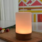Diffuseur Ultrasonique Felisia