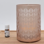 6 Diffuseurs Ultrasoniques Vienne + 6 Synergies Offertes