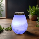 Diffuseur par Chaleur Douce<br />CALORYA N° 11