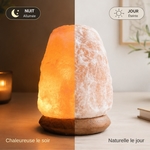 Lampe USB  en Cristal de Sel d'Himalaya Rock