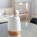 Diffuseur par Chaleur Douce<br />CALORYA N° 16