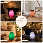 Diffuseur par Chaleur Douce<br />CALORYA N° 11