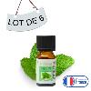 Lot de 6 Huiles Essentielles Menthe