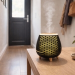 Diffuseur Ultrasonique Leni