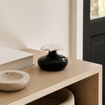Diffuseur par Capillarité<br/>Narcisse Noir - DCRN